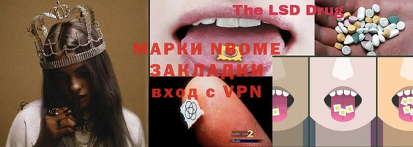 винт Алзамай