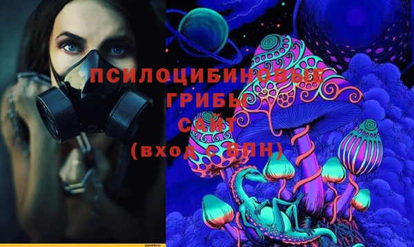 винт Алзамай