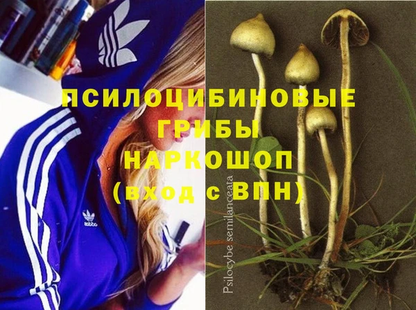 винт Алзамай