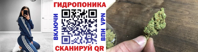 маркетплейс состав  Кукмор  Бошки Шишки марихуана 